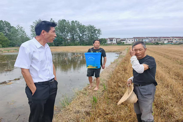陳莊村成功調(diào)解午季水稻灌溉矛盾糾紛
