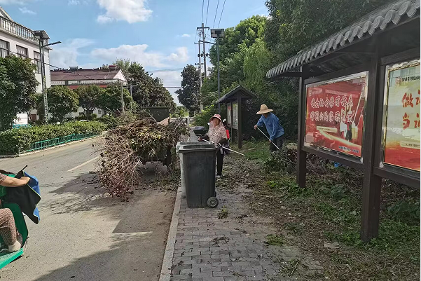 “清爽行動”— 桑園村環(huán)境整治進行時